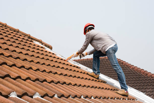 Best Roofing for New Construction  in Holly Springs, NC