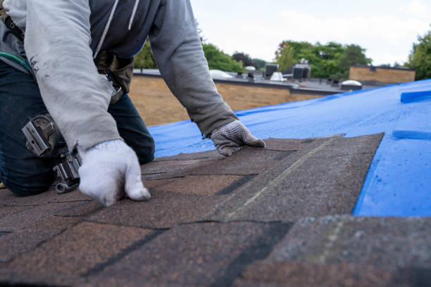 Best Green or Eco-Friendly Roofing Solutions  in Holly Springs, NC