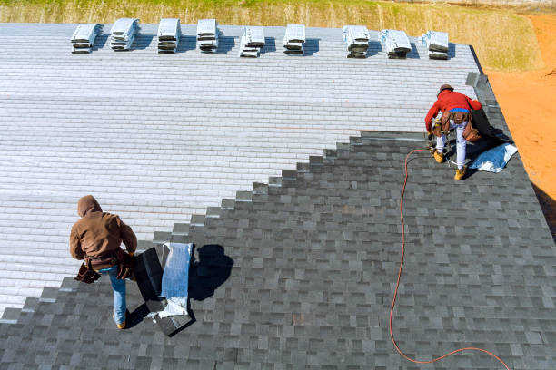 Best Cold Roofs  in Holly Springs, NC