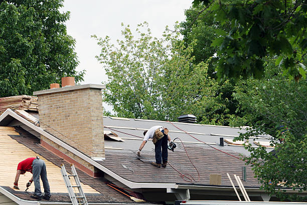 Best Roof Leak Repair  in Holly Springs, NC