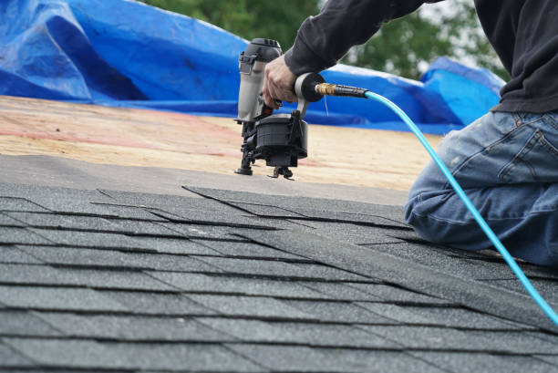 Best Steel Roofing  in Holly Springs, NC